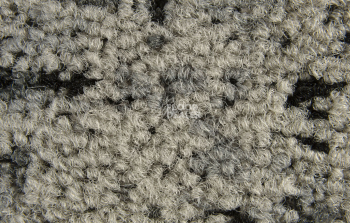 Balsan Signal Balsan Signal 620 фото 4 | FLOORDEALER