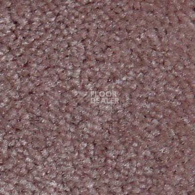 Ковролин Serene Beaulieu of America 22 фото 1 | FLOORDEALER