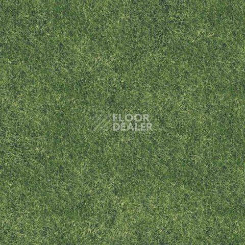 Ковролин Halbmond Pure Elements 13834 фото 1 | FLOORDEALER