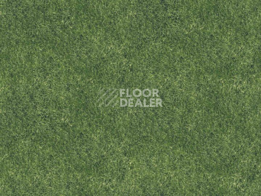 Ковролин Halbmond Pure Elements 13834 фото 1 | FLOORDEALER