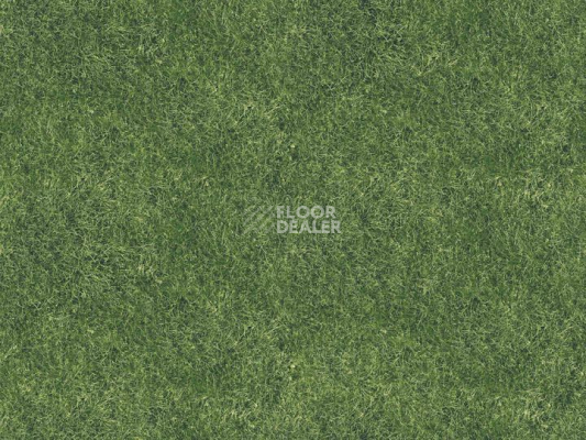 Ковролин Halbmond Pure Elements 13834 фото 1 | FLOORDEALER