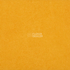 Линолеум Taralay Initial Compact (Plain & allover look) 0952 Miami Soleil фото 1 | FLOORDEALER