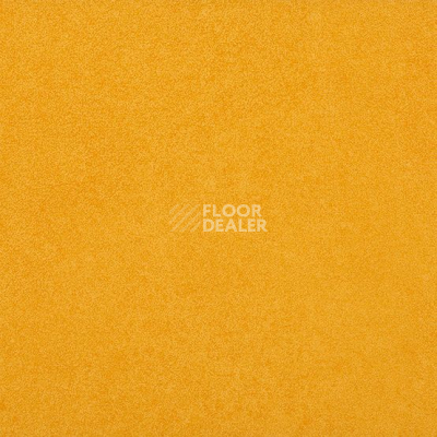 Линолеум Taralay Initial Compact (Plain & allover look) 0952 Miami Soleil фото 1 | FLOORDEALER