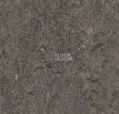 Линолеум Forbo Marmoleum Decibel 304835 graphite фото 1 | FLOORDEALER