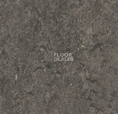 Линолеум Forbo Marmoleum Decibel 304835 graphite фото 1 | FLOORDEALER