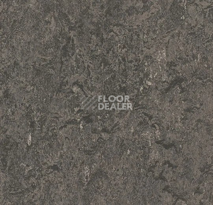Линолеум Forbo Marmoleum Decibel 304835 graphite фото 1 | FLOORDEALER