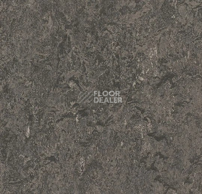 Линолеум Forbo Marmoleum Decibel 304835 graphite фото 1 | FLOORDEALER