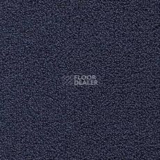 Ковролин AW Pearl 77 фото 1 | FLOORDEALER