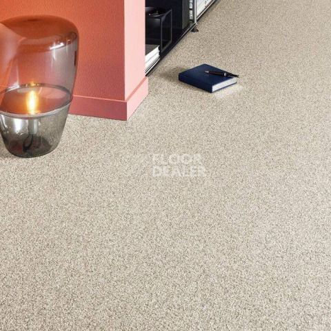 Vorwerk Essential 1074/Parma Vorwerk 8h13 фото 2 | FLOORDEALER