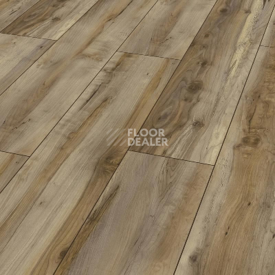 Ламинат Kronotex Exquisit 8мм d6007 Клен Каньон фото 1 | FLOORDEALER