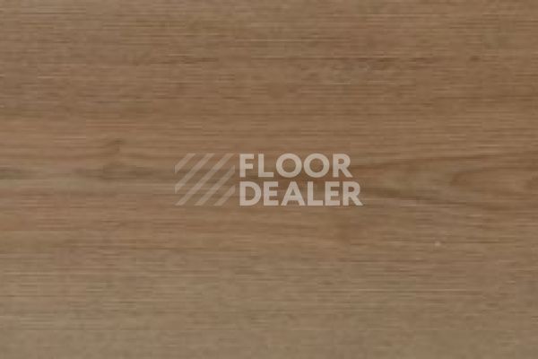 Виниловая плитка ПВХ Evofloor Optima Click Дуб Миндаль фото 1 | FLOORDEALER