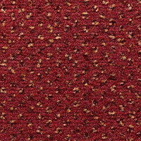 Condor Carpets Argus 287 фото 1 | FLOORDEALER