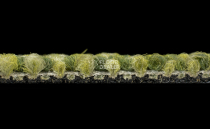 Desso Desert 7184 фото 4 | FLOORDEALER