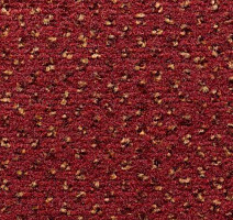 Ковролин Condor Carpets Argus 287 фото 1 | FLOORDEALER