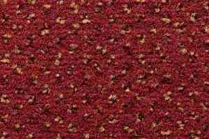 Ковролин Condor Carpets Argus 287 фото  | FLOORDEALER