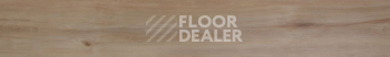 Evofloor Optima Click 4.2мм Груша Капучино фото 2 | FLOORDEALER