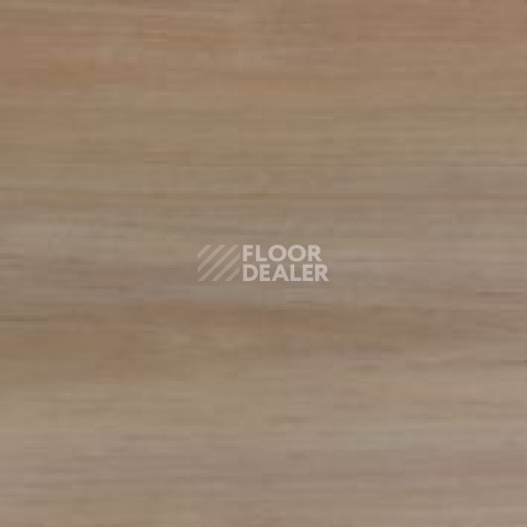 Evofloor Optima Click 4.2мм Груша Капучино фото 2 | FLOORDEALER