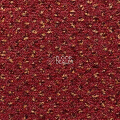 Ковролин Condor Carpets Argus 287 фото 1 | FLOORDEALER