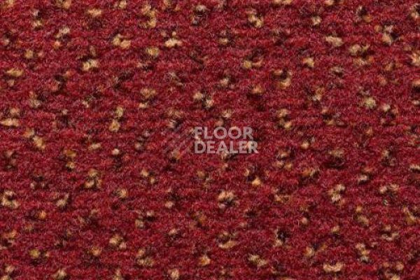 Ковролин CONDOR Carpets Argus 287 фото 1 | FLOORDEALER