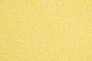 Линолеум Novoflor Extra Ideal 2800-10 фото  | FLOORDEALER