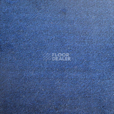 Ковролин Дюна Тафт Плеяда 550 955 фото 1 | FLOORDEALER
