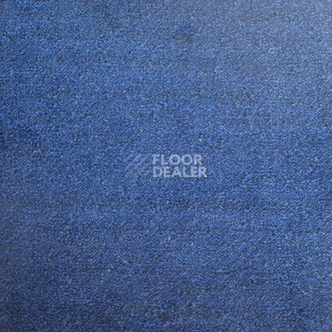 Ковролин Дюна Тафт Плеяда 550 955 фото 1 | FLOORDEALER