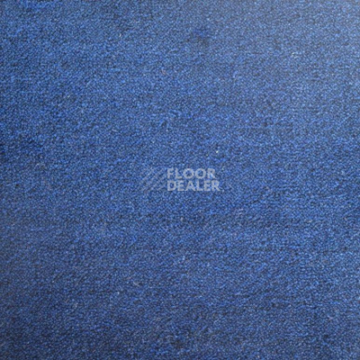 Ковролин Дюна Тафт Плеяда 550 955 фото 1 | FLOORDEALER