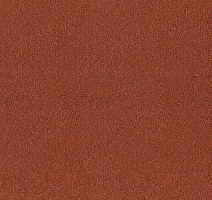 Ковролин Desso Asteranne 4201 фото 1 | FLOORDEALER