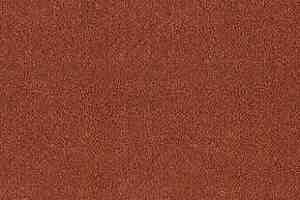 Ковролин Desso Asteranne 4201 фото  | FLOORDEALER