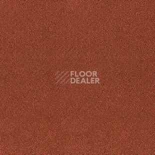 Ковролин Desso Asteranne 4201 фото 1 | FLOORDEALER