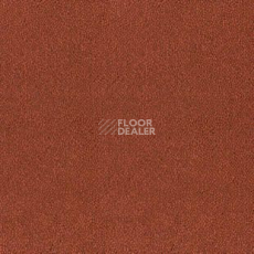 Ковролин Desso Asteranne 4201 фото 1 | FLOORDEALER