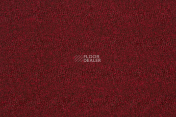 Betap Baltic 15 фото 1 | FLOORDEALER