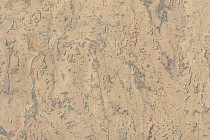 Пробковое покрытие Corkstyle Mountain настенное RUSSELL фото 1 | FLOORDEALER