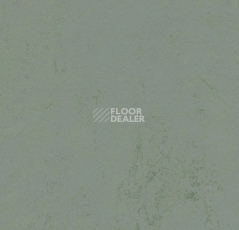 Линолеум Forbo Marmoleum Decibel on Order 375135 tundra фото 1 | FLOORDEALER