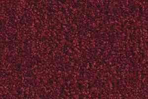 Ковролин Balsan Scenario 590 фото  | FLOORDEALER