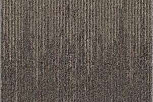 Ковровая плитка Balsan Zephir Sonic Confort 670 фото  | FLOORDEALER