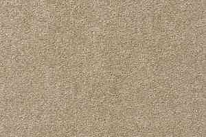 Ковролин Vorwerk Passion 1004 Vorwerk 8j01 фото  | FLOORDEALER