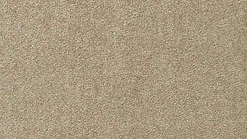 Ковролин Vorwerk Passion 1004 Vorwerk 8j01 фото 1 | FLOORDEALER