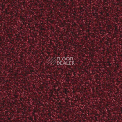Ковролин Balsan Scenario 590 фото 1 | FLOORDEALER