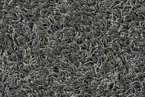 Ковровая плитка Betap Chromata Feel 74 фото  | FLOORDEALER