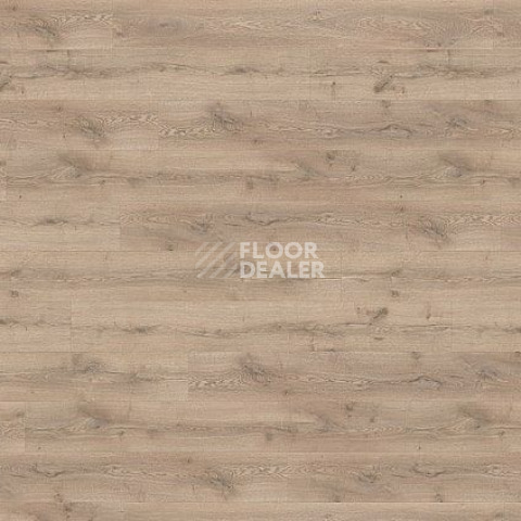 Ламинат Wineo 700 Wood XXL V4 8мм LA228XXLV4 Дуб Шведский Светло-Коричневый фото 1 | FLOORDEALER