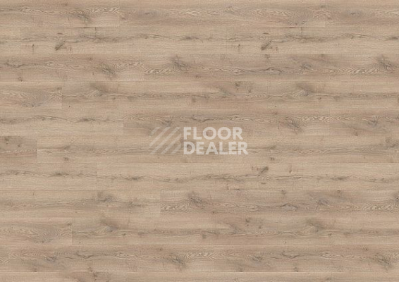 Ламинат Wineo 700 Wood XXL V4 8мм LA228XXLV4 Дуб Шведский Светло-Коричневый фото 1 | FLOORDEALER