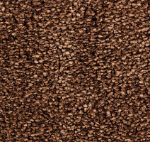 Ковролин Edel Wild Romance 243 фото 1 | FLOORDEALER