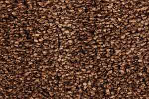 Ковролин Edel Wild Romance 243 фото  | FLOORDEALER