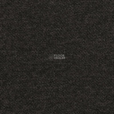 DESSO Airmaster Tierra 9991 фото 1 | FLOORDEALER