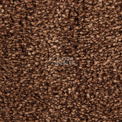 Ковролин Edel Wild Romance 243 фото 1 | FLOORDEALER