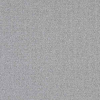 Ковровая плитка Interface Menagerie 304937 фото 1 | FLOORDEALER