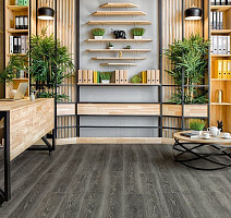 Alpine Floor Grand Sequoia (1524x180) ГРАНД СЕКВОЙЯ КАДДО ECO 11-20 фото 4 | FLOORDEALER