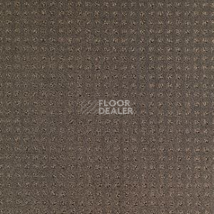 Ковролин Balsan Territoires Atrium 771 фото 1 | FLOORDEALER