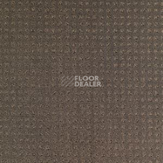 Ковролин Balsan Territoires Atrium 771 фото 1 | FLOORDEALER